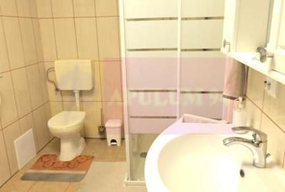 Casă individuală cu 5 camere cu Canalizare în Exterior Vest - 13
