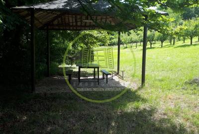 Teren extravilan  de vanzare | 4288 mp | in Gusterita - 5