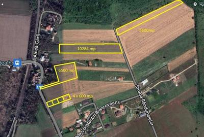 Teren intravilan de vanzare in Balteni | Intravilan | Padurea Scrovistea - 3