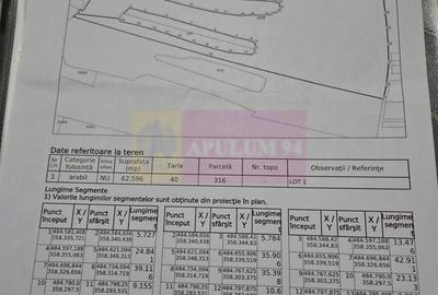 Teren agricol extravilan de 94000 mp, în Albota - 1