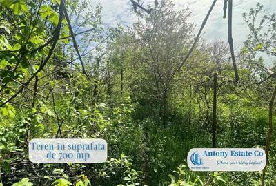 Train House casa de vanzare P+E, Oradea - 5