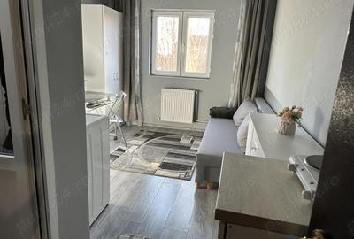 Garsonieră nedecomandată în Buziașului - 5