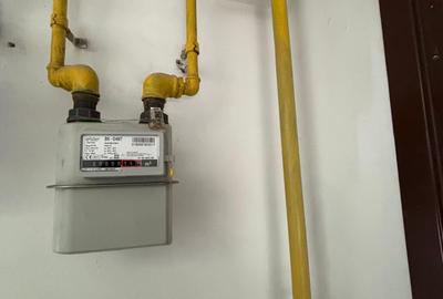 Apartament 3 Camere Calea Calarasi 80 mp - 15