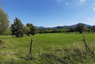 Teren agricol extravilan de 9350 mp, în Bran - 4