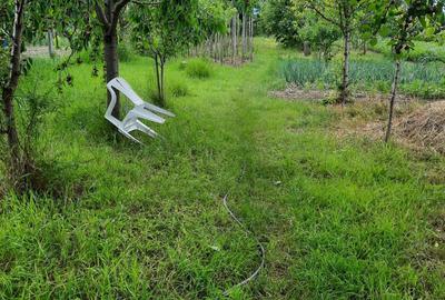 Casă cu 3 camere cu Teren 1100 Mp în Ciugud - 4