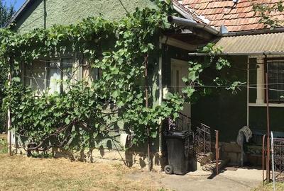 Casă cu Teren 6500 Mp în Dretea - 8