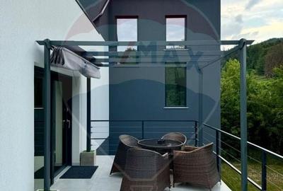 Proprietate specială, de 280 mp, în Almaș - 44