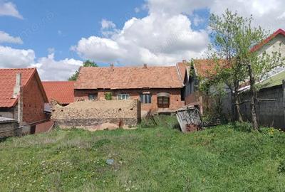 Casă cu 4 camere cu Teren 1032 Mp în Târnova - 8