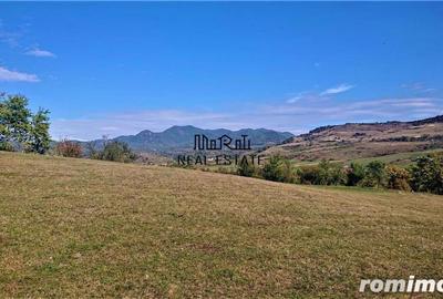 Teren de 18000 mp, în Bârsău