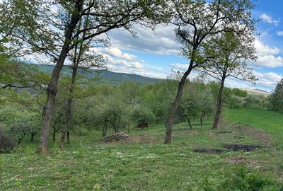 Spațiu comercial, în Sârbi - 7