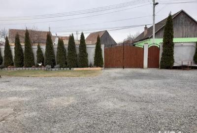 Casă cu 9 camere în Turnișor - 1
