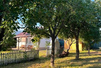 Casă cu curte generoasă în Harman, 8 min de Coresi Brasov - 3