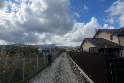 Teren intre case- Magura Farbe- 1419 mp - 3