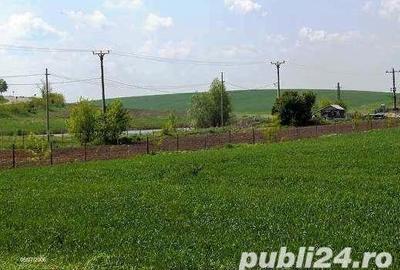 Teren de 45000 mp, în Central - 5