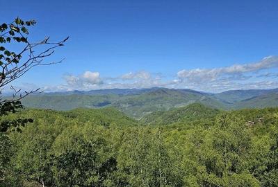 Pensiune in jud. Buzau, loc Ivanetu| Constructie lemn|Pozitionare impresionanta - 4