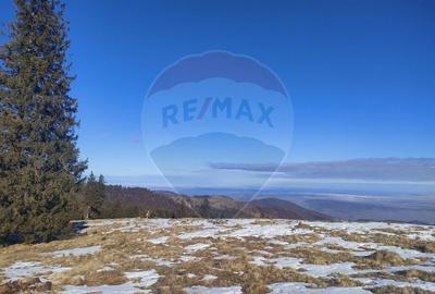 Teren agricol extravilan de 5609 mp, în Gura Râului - 10