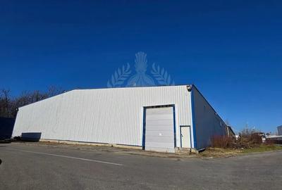 HALA 2300 MP//PARCUL INDUSTRIAL//ZONA YAZAKI - 1