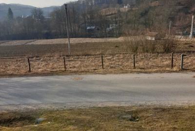 Teren de 7000 mp, în Ștubeie Tisa - 11