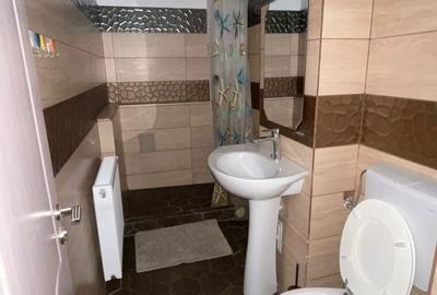 Garsonieră decomandată în Sebastian - 8