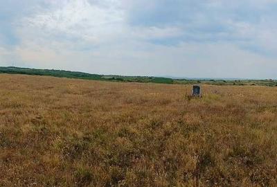 Spațiu comercial, în Lugoj - 2