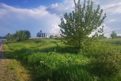 Teren intravilan 5 hectare comasat Bocsa 6 euro mp negociabil - 12