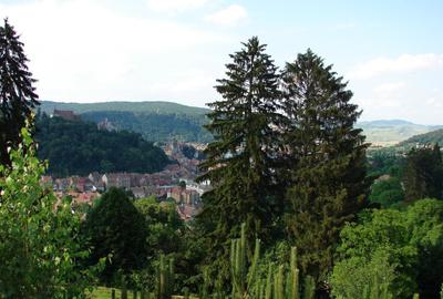 Casă cu 4 camere în Angofa - 5