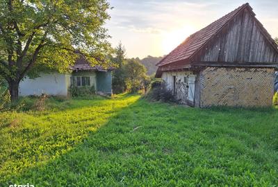 Teren de 29463 mp, în Vătava - 9