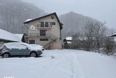 Casă cu 10 camere cu Teren 1000 Mp în Siriu - 4
