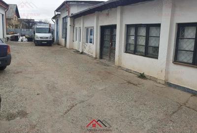 Hale+birouri in Campina--655mp--400.000e - 4