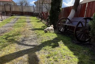 Vand casa urgent ! - 1