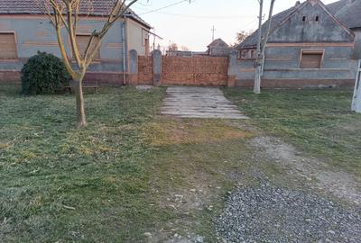 Casa Cebza-Timis - 3