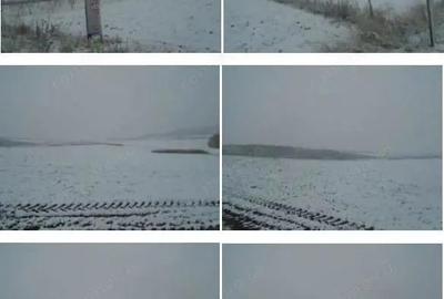 Teren Corbita, ID: R1984008 - 2