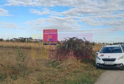 Teren de 11157 mp, în Gulia - 1