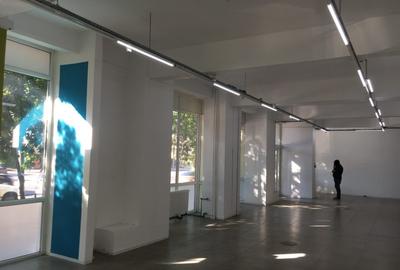Spațiu comercial, 261 mp în Tineretului - 1