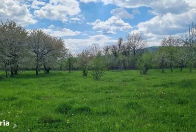 Casă cu 4 camere în Albești