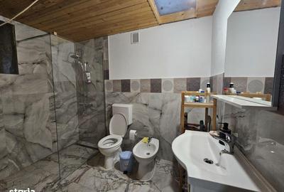 Casă cu 4 camere în Lăpușnic - 9