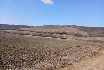 Teren de 3900 mp, în Mierlău - 2