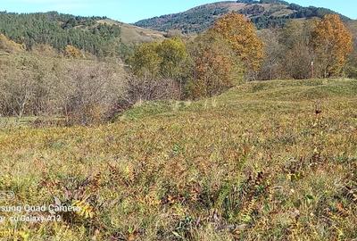 Teren intravilan la munte  Valea Ariesului comuna Salciua jud Alba - 6