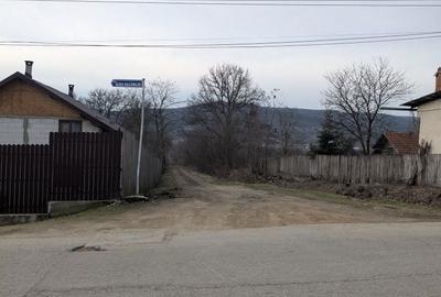 Spațiu comercial, în Davidești - 3