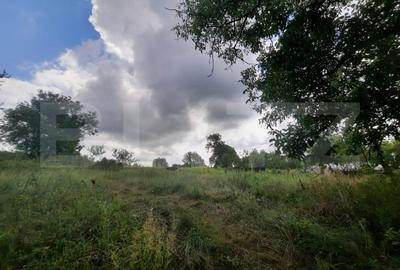 Anexa cu teren  5000mp, langa padure, Dobrovat - 3