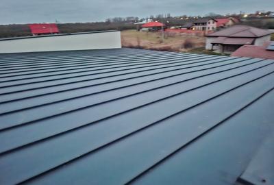 Duplex cu 5 camere cu Teren 500 Mp în Șag - 5