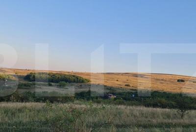 Teren, 11.600 mp, Campenesti - 8