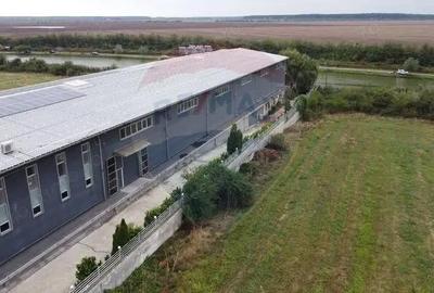 Spațiu comercial, de 3,600 mp, în Afumați - 6