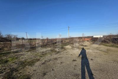 Teren 2.500 mp, front 23 ml, trifazic Coste?ti din Deal - 3