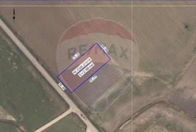 Teren intravilan 2188 mp de vanzare in Cefa, Bihor - 2