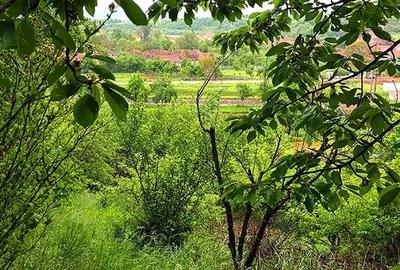 Casă cu 2 camere cu Teren 2200 Mp în Vadu Crișului