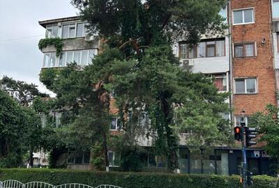 4 camere calea lui Traian langa Episcopie - 2