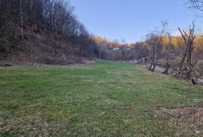 Spațiu comercial, în Hărțăgani - 9