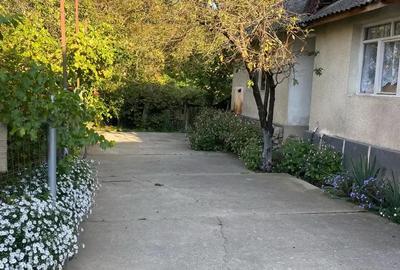 Casă cu 5 camere în Central - 5