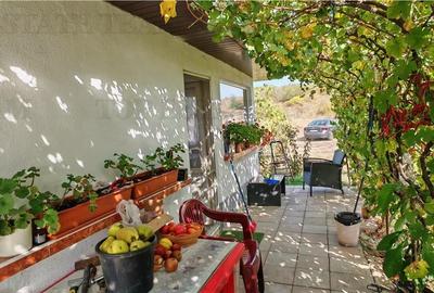 Ferma 3,3ha, din care 2,5ha intravilan, vila 7 camere, D+P+E+M, casa pentru munc - 5
